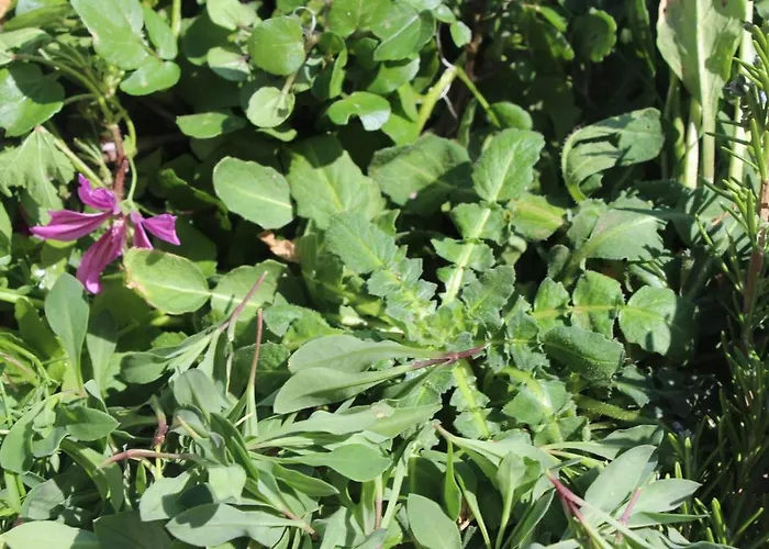 Da Rosina E T Hébergement de vacances